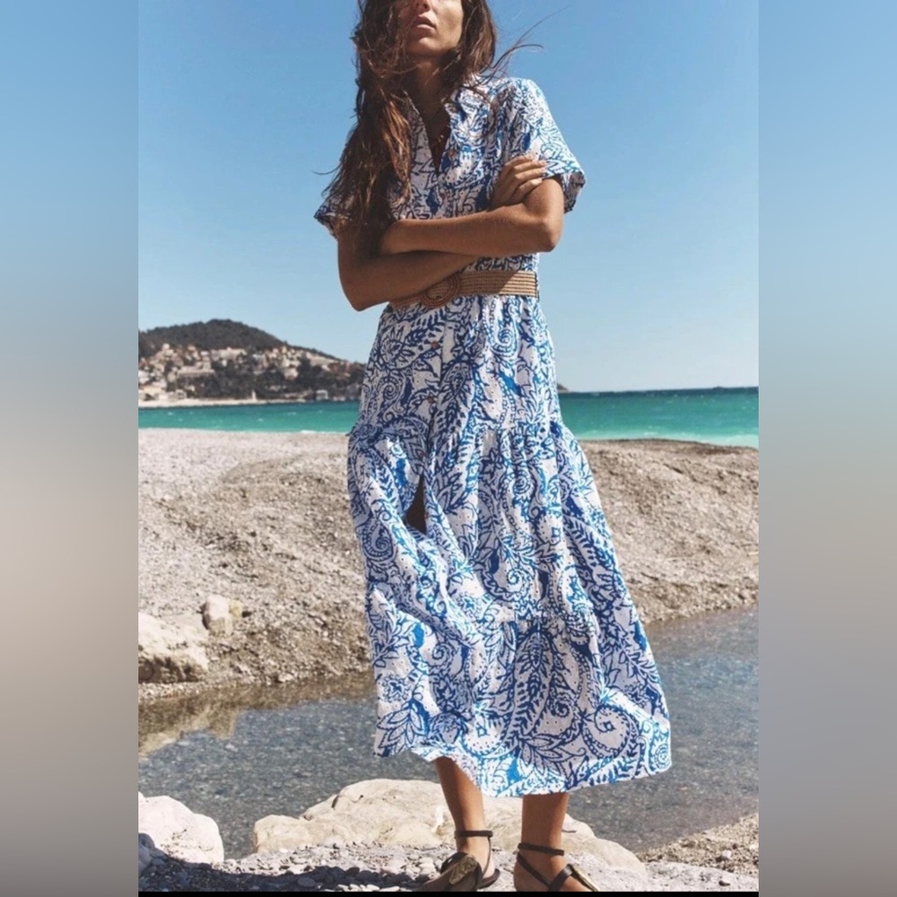 Zara Blue and White Paisley Button-Front Maxi Dress - Picture 2 of 10
